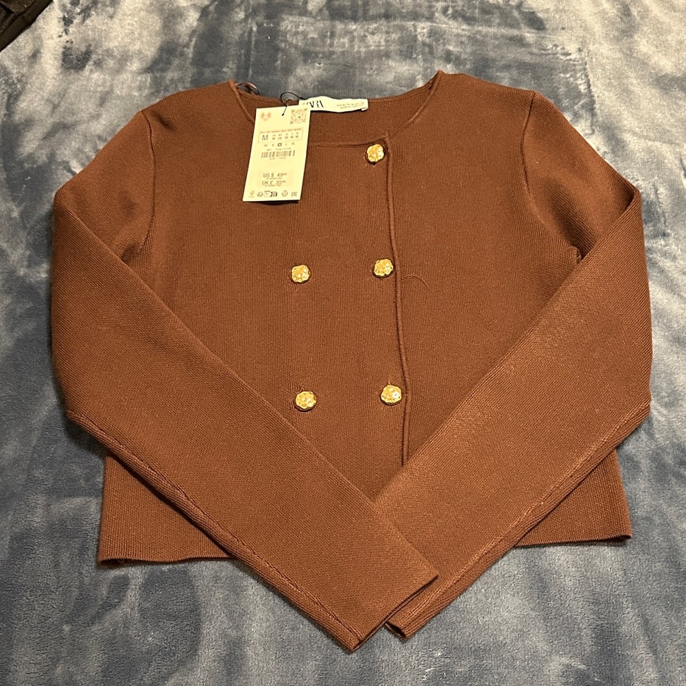 Zara Chestnut Double-Breasted Sweater